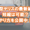 新型ヤリスの最新納期